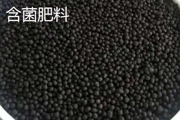肥料放置过久是否会失效，存放得当时一般不会失效