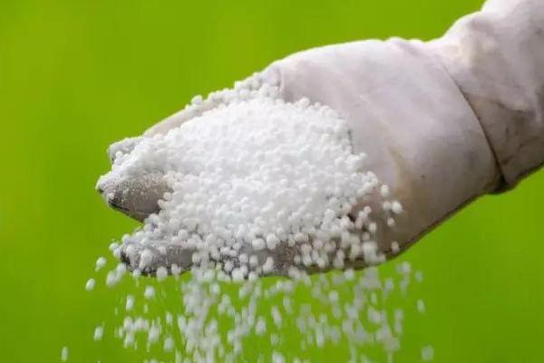 磷肥的正确用法，可集中条施或穴施