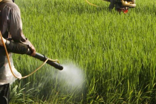 使用微生物农药的注意事项，不宜在高温、强光天气下使用