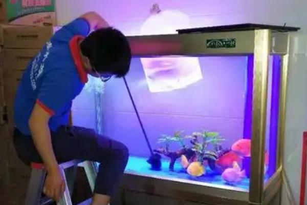 如何正确清洗鱼缸，先抽出老水再刷干净、然后消毒晾干