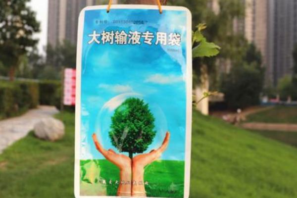 怎么对果树输液，打孔后再将输液管插入木质部