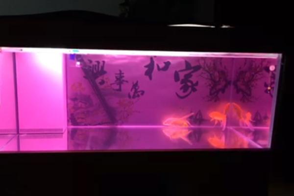 高锰酸钾开缸泡多长时间，通常浸泡1小时即可