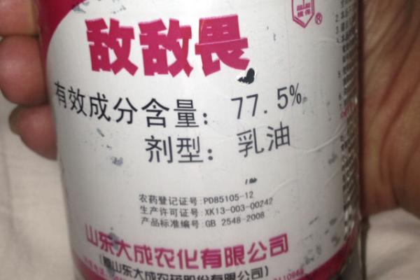 用什么药防治平菇病虫害，可用硫磺蒸熏菇房