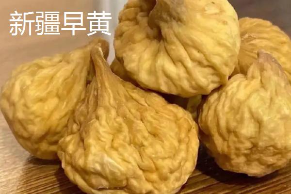 无花果的品种，成熟时间各不相同