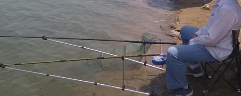深水钓鲢鳙的具体深度
