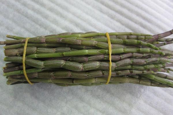 怎样才能使土豆高产