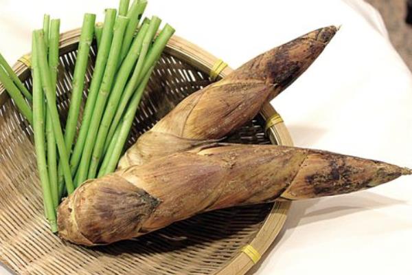 新鲜春笋的保存要点和食用方法