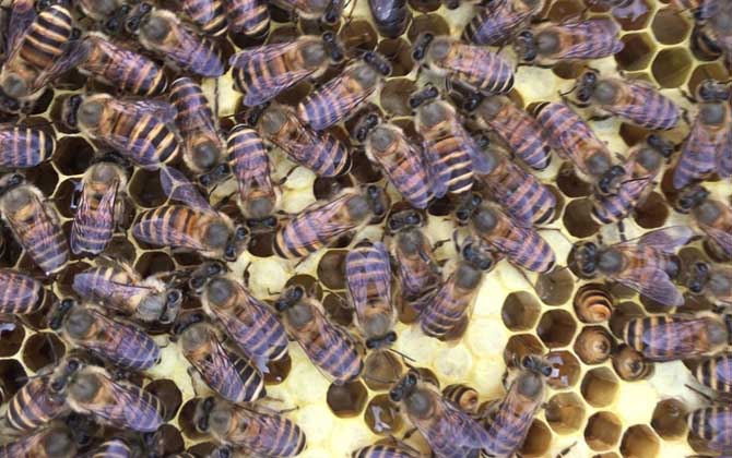 急造王台要具备哪些条件