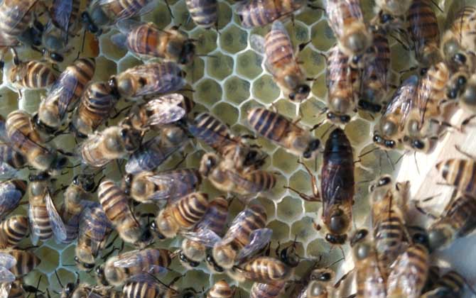 怎样介王最容易成功