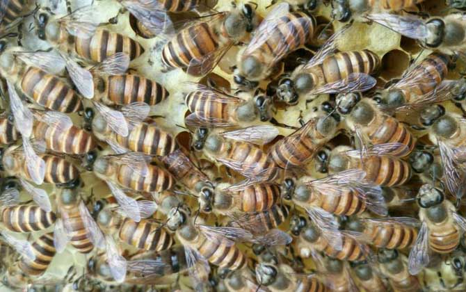 工产群怎么介王安全