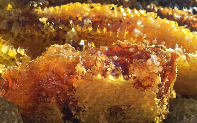 蜂蜜价格为什么有高有低