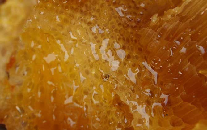 蜂蜜和鸡蛋能一起吃吗