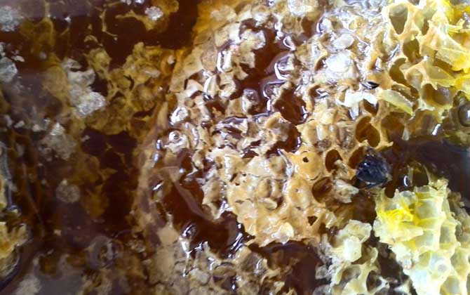 纯野生蜂蜜200元一斤贵吗