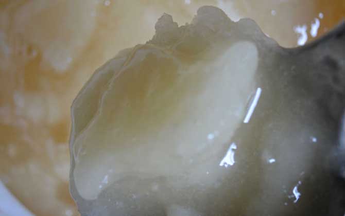 20元一斤蜂蜜是真的吗