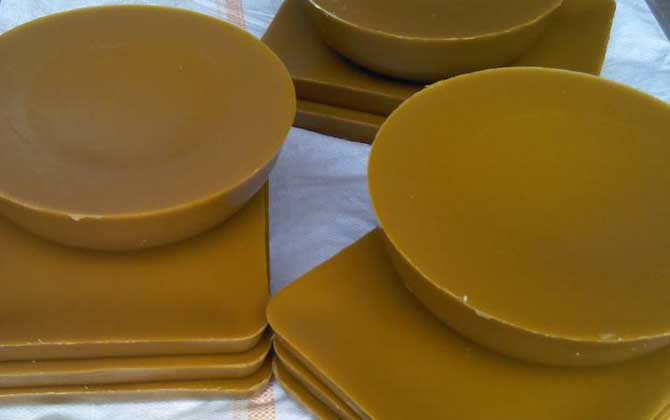 蜂蜡一般在哪里能买到