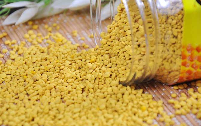 蜂花粉是怎么来的