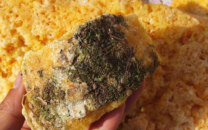 石蜜是怎么形成的