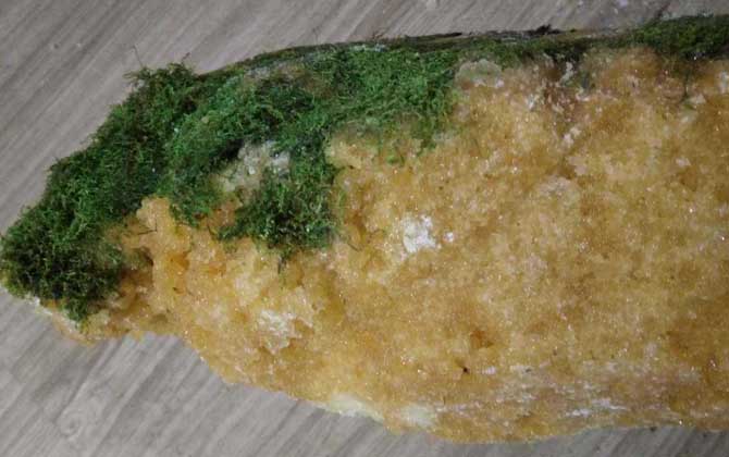 岩蜜(石蜜)真的存在吗