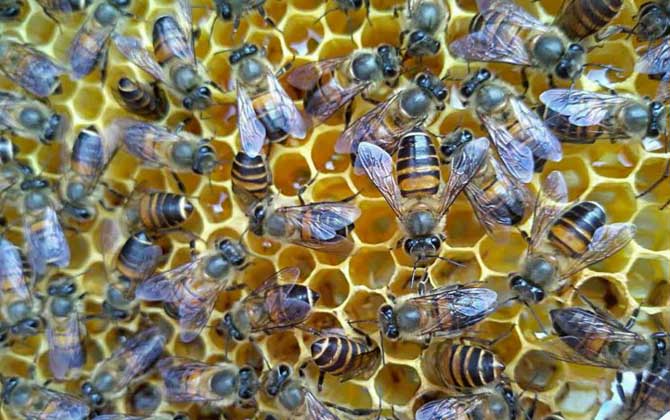 怎么判断介王是否成功