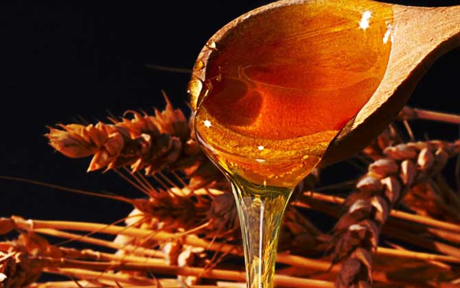 怎么鉴别蜂蜜纯不纯