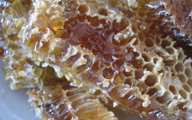 土蜂蜜是什么蜜蜂产的