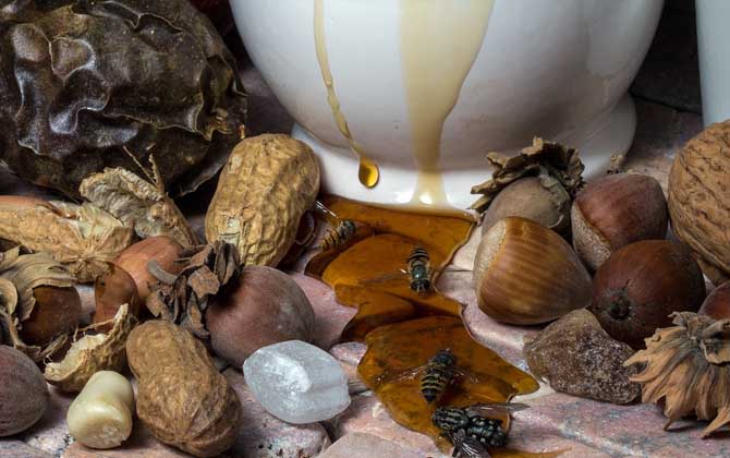 蜂蜜瓶用哪种材质好