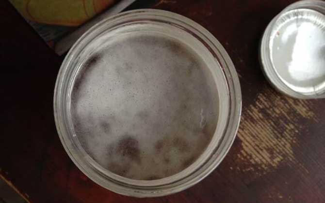 变质蜂蜜吃了会怎么样