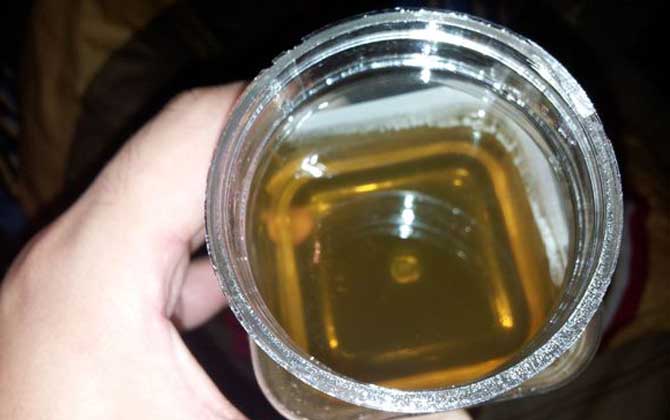 蜂蜜真的是永不变质吗