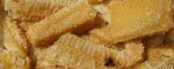 蜂蜜是蜜蜂拉的屎吗