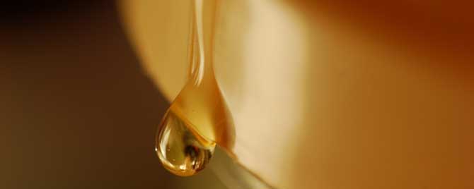 蜂蜜含有哪些营养物质