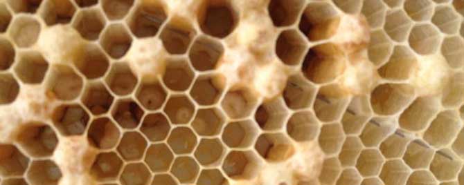 急造王台有什么条件