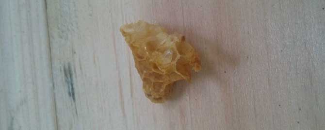 蜜蜂王台是什么样子的