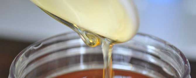 假蜂蜜是怎么做出来的