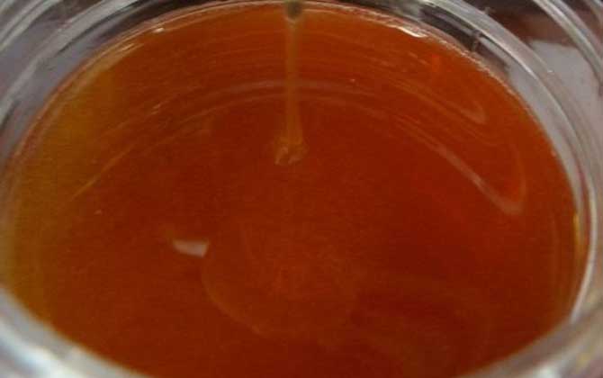 桉树蜂蜜是几等蜜