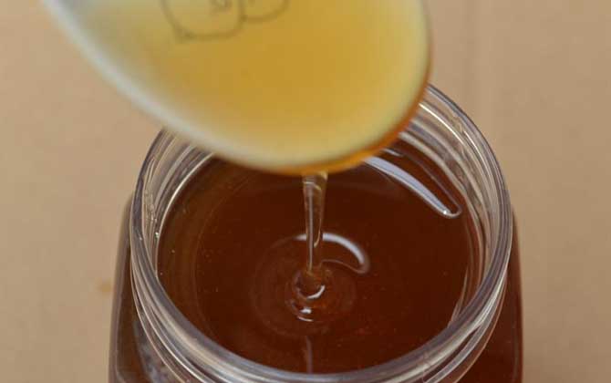 正宗枣花蜜价格多少钱一斤