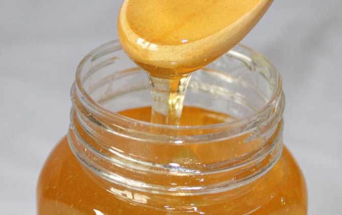 枣花蜜和土蜂蜜哪个好