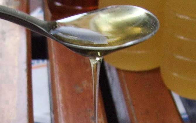 荔枝蜜好还是槐花蜜好