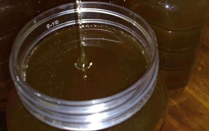 龙眼蜜和乌桕蜜哪个好