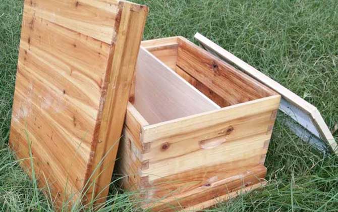 30元一个蜂箱是真的吗