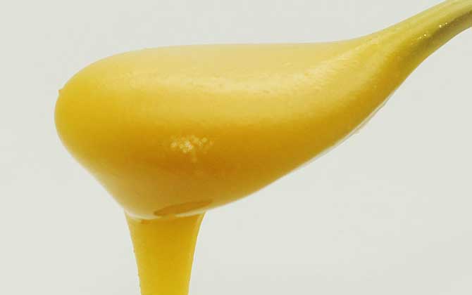 葵花蜜是几等蜜