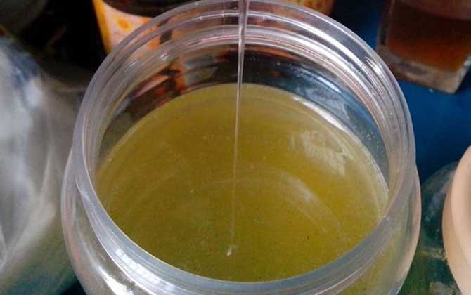 葵花蜜好还是槐花蜜好