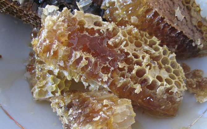 买土蜂蜜什么牌子最好