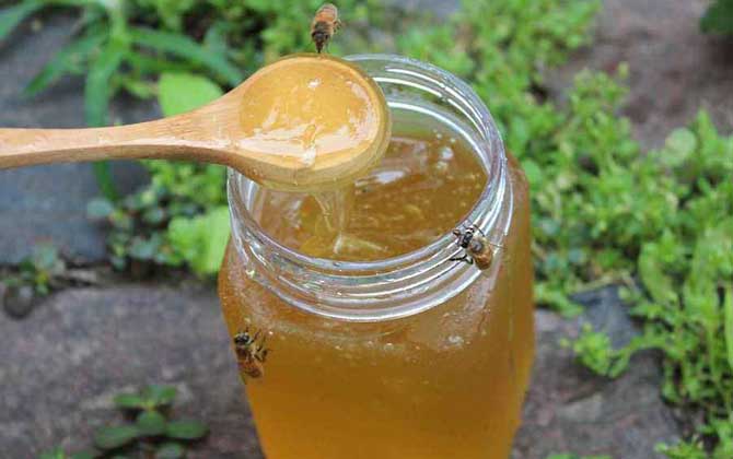 枣花蜜是什么颜色