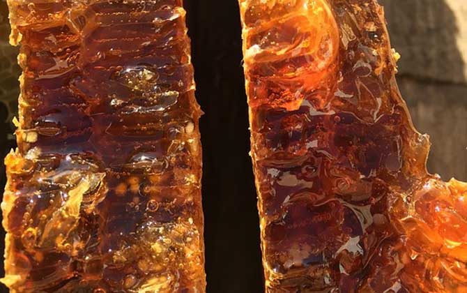 怎样看蜂蜜是真的还是假的