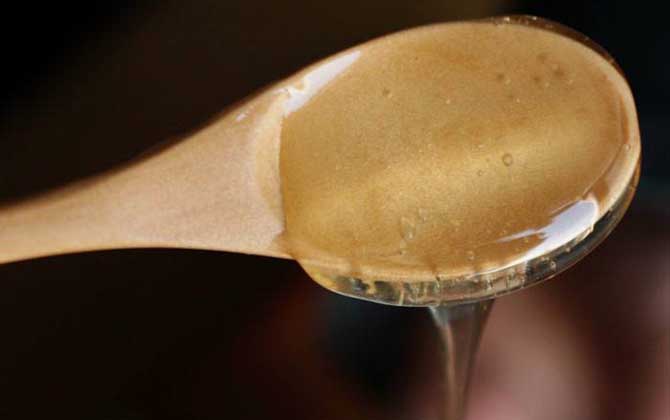 紫云英蜂蜜价格多少钱一斤