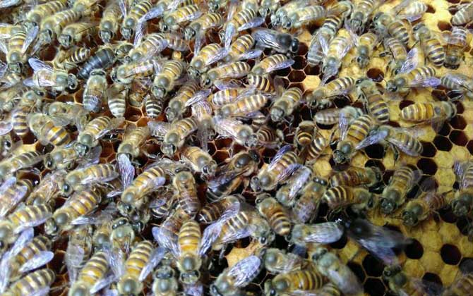 失王什么时候介王最好