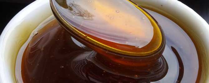 桉树蜜几月份有才有