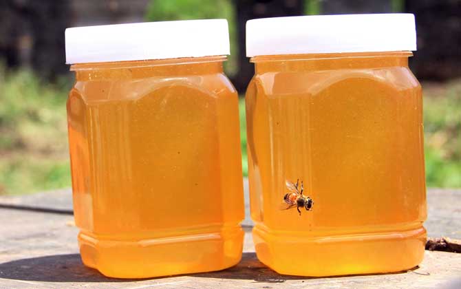 柑橘蜜和荔枝蜜哪个好