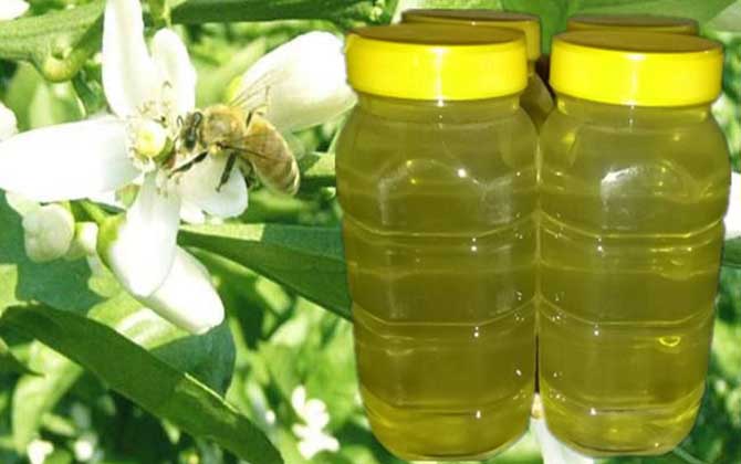 真的柑橘蜜是什么颜色