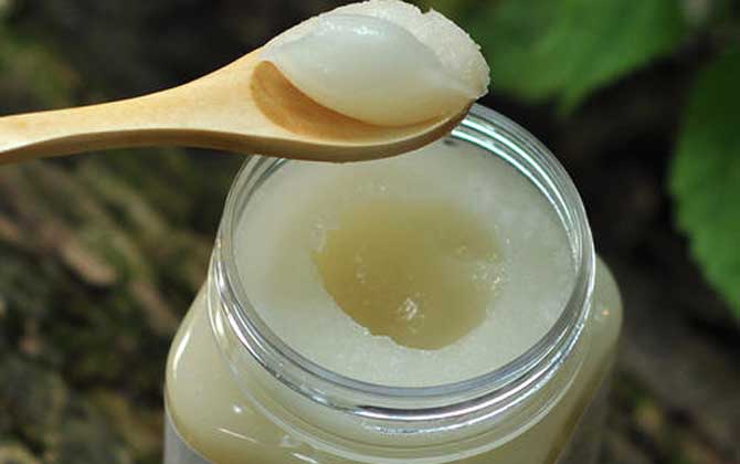 苕子蜜(雪脂莲蜜)是几等蜜